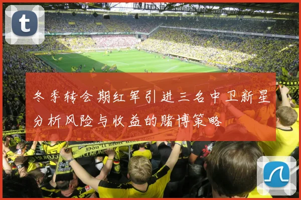 冬季转会期红军引进三名中卫新星分析风险与收益的赌博策略